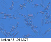 Microscopic x-ray view of Clostridium perfringens bacteria. Стоковое фото, фотограф Stocktrek Images, Inc. / ТАСС / Фотобанк Лори