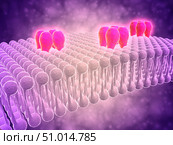 Conceptual image of GABA receptors. Стоковое фото, фотограф Stocktrek Images, Inc. / ТАСС / Фотобанк Лори