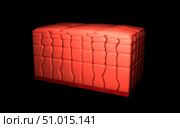 Conceptual image of stratified squamous epithelium. Стоковое фото, фотограф Stocktrek Images, Inc. / ТАСС / Фотобанк Лори