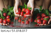 Hands wash freshly picked strawberries alongside vibrant green herbs, showcasing a rustic kitchen's bounty and preparation process for delicious dishes. Стоковое AI-видео, аниматор Данила Большаков / Фотобанк Лори