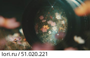 Capturing nature's beauty through a camera lens surrounded by vibrant flowers in a serene garden setting. Стоковое AI-видео, аниматор Сергей Толмачёв / Фотобанк Лори