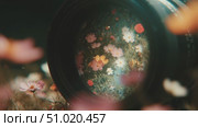 Capturing vibrant flowers through a lens in a lush garden during springtime. Стоковое AI-видео, аниматор Сергей Толмачёв / Фотобанк Лори