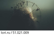 Exploring the depths of time through abstract underwater visuals and clock imagery. Стоковое AI-видео, аниматор Сергей Толмачёв / Фотобанк Лори