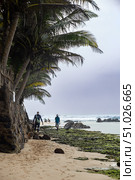 Тропический пляж Turtle Beach, Шри-Ланка. Редакционное фото, фотограф Андрей Иванов / Фотобанк Лори