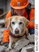 Search and rescue labrador dog assisting rescue worker in earthquake aftermath. Стоковое AI-изображение, AI-художник Юрий Поздников / Фотобанк Лори
