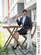 Business woman works on a laptop plays with a puppy of Jack Russell Terrier in a summer cafe. A small dog stands on its hind paws and begs for ice cream from the owner on the street. Стоковое фото, фотограф Михаил Решетников / Фотобанк Лори