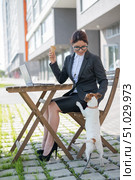 Business woman works on a laptop plays with a puppy of Jack Russell Terrier in a summer cafe. A small dog stands on its hind paws and begs for ice cream from the owner on the street. Стоковое фото, фотограф Михаил Решетников / Фотобанк Лори