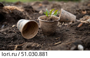 Compostable coffee cups breaking down in soil. Recycling of waste, zero waste production, preservation of the ecology of the Earth. Стоковое AI-изображение, AI-художник ALLA YURTAYEVA / Фотобанк Лори