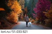 Woman enjoys a peaceful walk with dog along a colorful autumn trail surrounded by vibrant trees. Стоковое AI-изображение, AI-художник Сергей Толмачёв / Фотобанк Лори