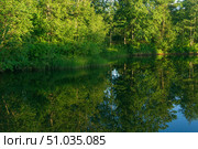 Beautiful forest lake with sedge on a summer evening. Стоковое фото, фотограф Евгений Харитонов / Фотобанк Лори