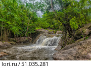 A small picturesque waterfall surrounded by dense tropical jungle. Water falls rapidly from stone ledges, forming a foamy stream that continues its way along the rocks. Around is dense greenery of bamboo and trees with powerful roots, entwining the rocks, creating an atmosphere of untouched nature. Стоковое фото, фотограф Анна Кривицкая / Фотобанк Лори