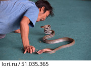 Entertaining show with snakes (2018 год). Редакционное фото, фотограф Анна Кривицкая / Фотобанк Лори