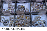 Various pendants made of agate slices with natural crystals inside, neatly laid out in the display case cells. Each stone is framed with a metal edging, emphasizing its natural texture and unique pattern. Inside the slices you can see inserts of amethyst, citrine and tourmaline. Jewelry is presented at an exhibition or fair of minerals. Стоковое фото, фотограф Анна Кривицкая / Фотобанк Лори