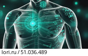 A detailed view of a digitally enhanced human figure showing advanced technology merging with anatomy in an urban setting during sunset. Стоковое AI-видео, аниматор Данила Большаков / Фотобанк Лори