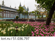 View of city park in Pyatigorsk (2022 год). Редакционное фото, фотограф Юлия Белоусова / Фотобанк Лори
