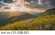 Sun breaks through clouds, casting warm glow over field of vibrant wildflowers below. Стоковое AI-видео, аниматор Данила Большаков / Фотобанк Лори