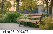 Wooden bench in middle of park, surrounded by trees and grass. Peaceful scene invites visitors to relax and enjoy the outdoors. Стоковое видео, видеограф Данила Большаков / Фотобанк Лори
