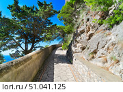 Capri island, Italy. Стоковое фото, фотограф Anastasy Yarmolovich / Фотобанк Лори
