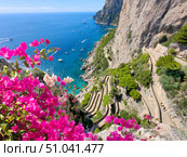 Capri island, Italy. Стоковое фото, фотограф Anastasy Yarmolovich / Фотобанк Лори