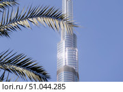 Palm tree and Burj Khalifa supertall skyscraper. Редакционное фото, фотограф Екатерина Якименко / Фотобанк Лори