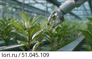 Innovative robotic arm cultivates plants in advanced greenhouse during sunny day. Стоковое AI-видео, аниматор Сергей Толмачёв / Фотобанк Лори
