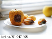 Rotten fruits on a light background, apricot and apple. Стоковое фото, фотограф Ефанова Екатерина / Фотобанк Лори