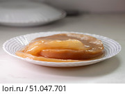 Fermenting Kombucha SCOBY on a Decorative Plate in a Modern Kitchen Setting. Стоковое фото, фотограф Ольга Коваленко / Фотобанк Лори