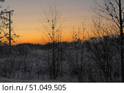 A winter landscape at sunset with delicate shades of orange and gold on the horizon, smoothly turning into the cool tones of the evening sky. In the foreground are silhouettes of thin trees and bushes covered in snow. Branches and leaves hold soft lumps of snow, creating an atmosphere of silence and winter peace. Power lines run through the composition, adding an industrial touch to the natural landscape. In the background, dark outlines of the forest are visible, dissolving into the twilight. Стоковое фото, фотограф Анна Кривицкая / Фотобанк Лори