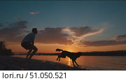 Dog plays fetch at sunset by the river with a happy owner in a serene nature setting. Стоковое AI-видео, аниматор Сергей Толмачёв / Фотобанк Лори