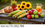 Autumn harvest still life on rustic wooden table outdoors, fresh corn, apples, challah bread, lemonade, and sunflowers in sunlight background. Стоковое AI-изображение, AI-художник Павел Муравьев / Фотобанк Лори