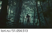 Eerie shadowy silhouette emerges among trees in a mist-filled twilight forest. Стоковое AI-видео, аниматор Данила Большаков / Фотобанк Лори