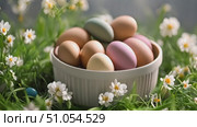 A bowl filled with eggs placed on a lush grass-covered field, under the clear sky. Стоковое AI-видео, аниматор Данила Большаков / Фотобанк Лори