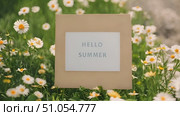 A sign with the words hello summer stands tall amidst a vibrant field of daisies, under the bright sun. Стоковое AI-видео, аниматор Данила Большаков / Фотобанк Лори