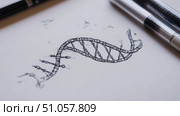 helicase disassembling dna strand ai generated. Стоковое AI-изображение, AI-художник Vectorwin / Фотобанк Лори