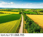 Rural landscape - green and yellow fields, roads, houses. bright illustration. Стоковое AI-изображение, AI-художник Ирина Самойлова / Фотобанк Лори