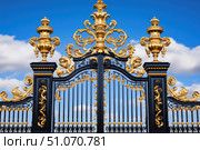 Ornate golden gate with intricate baroque details against a blue sky, featuring elaborate scrollwork, decorative urns, and luxurious craftsmanship in a symmetrical composition. Стоковое AI-изображение, AI-художник Катерина Бондарец / Фотобанк Лори