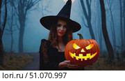 A witch in a black dress and a pointed hat holds a lit jack-o-lantern in a misty forest. Стоковое AI-видео, аниматор Данила Большаков / Фотобанк Лори