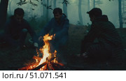 Three friends sit around a campfire in a foggy forest at night. Стоковое AI-видео, аниматор Данила Большаков / Фотобанк Лори