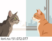 Domestic cat gazing at homeless cat with envy through window, illustrating contrast in living conditions. Minimalist design captures feelings of longing for companionship and comfort among felines, Стоковое AI-изображение, AI-художник Ольга Березина / Фотобанк Лори