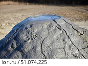 A mud volcano and a stream of grey clay from an eruption and gas escape. Cracked soil surface. Texture of a mudflow. Стоковое фото, фотограф Наталия Кирсанова / Фотобанк Лори