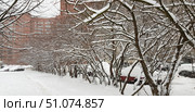 A winter cityscape with trees covered in fresh snow along a line of parked cars. The snow lies on the branches, forming a neat white pattern that emphasizes the graceful lines of the trunks. The cars are parked in a row along the road, completely covered in snow. In the background, multi-story brick houses with windows are visible, creating the backdrop of a typical city yard. The snow covers the ground in an even, untouched layer, with the exception of a few tracks leading along the alley. The atmosphere of the frame is calm and quiet, conveying the feeling of a winter morning or day after a snowfall. Стоковое фото, фотограф Анна Кривицкая / Фотобанк Лори
