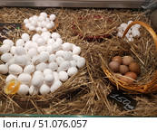 On the counter, lined with straw, there are chicken eggs of two types - white and brown. A large pile of white eggs occupies the central part of the composition, next to it lies a small plastic container with a yolk, demonstrating the freshness of the product. On the right, in a wicker basket, brown eggs are neatly laid out, next to which is a price tag - 150 rubles per dozen. In the background, small piles of white eggs in separate nests made of straw are visible. The atmosphere of the frame resembles a farmer's market or a village store, emphasizing the naturalness and environmental friendliness of the products. Стоковое фото, фотограф Анна Кривицкая / Фотобанк Лори