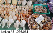 A souvenir market with sea shells of various shapes, sizes and shades. Sea shells are neatly laid out on the counter - from large white ones with carved edges to miniature smooth specimens painted in beige, brown and orange tones. Each shell has a price tag in Thai baht. In the baskets you can see shells with keychains, as well as small specimens for decoration. In the background are plastic baskets with other types of souvenir shells, including purple and mother-of-pearl. The photo conveys the atmosphere of a resort market and the variety of sea souvenirs popular among tourists. Стоковое фото, фотограф Анна Кривицкая / Фотобанк Лори