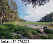 Panoramic view of the lake shore, surrounded by a dense pine forest. On the left, a walking trail runs along a line of tall, slender pines that go deep into the forest. In the foreground, there is green grass, coastal plants, and large stones lying in clear water. The shallows are covered with dense thickets of sedge and reeds, and in the distance, a view of the water surface and the opposite shore opens up. The sky is blue with light white clouds, creating a feeling of space and tranquility. The atmosphere of the place conveys the silence and tranquility of northern nature on a summer day. Стоковое фото, фотограф Анна Кривицкая / Фотобанк Лори