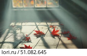Sunlight streams through a window onto a wooden floor scattered with red maple leaves. The scene captures the essence of autumn. Стоковое AI-видео, аниматор Nart / Фотобанк Лори
