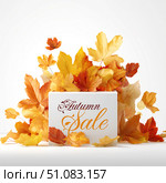 Autumn Sale in a Box. Стоковое AI-изображение, AI-художник Павлов Максим / Фотобанк Лори