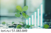 A small green plant grows among coins, symbolizing financial growth and sustainability. A digital graph shows an upward trend in the background. Стоковое AI-видео, аниматор Nart / Фотобанк Лори