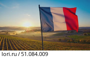 French flag waving in a vineyard at sunrise. The landscape features rolling hills and a misty atmosphere, symbolizing Bastille Day celebrations. Стоковое AI-видео, аниматор Nart / Фотобанк Лори