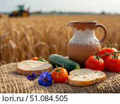 Сбор урожая сельскохозяйственная техника продукция. Стоковое AI-изображение, AI-художник Алёна Николенко / Фотобанк Лори