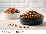 Brown Kibble Pet Food in Two White and Black Bowls. Lot of Dry Granules of Crunchy Dog or Cat Food. Animal Feed Pile. Pet Shop, Delivery. Healthy Treat. Feline Feeding. Domestic Animals Food Banner. Стоковое AI-изображение, AI-художник Марина Демидюк / Фотобанк Лори